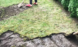 Снятие дерна старого газона в Петергофе – от 517 руб. | ГОСТСТРОЙ